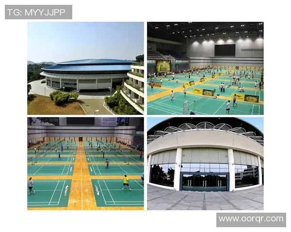 广州羽毛球队控制策略解析与发展前景探讨 广州羽毛球队控制策略解析与发展前景探讨