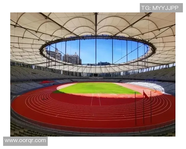 深圳网球队在钻石联赛中的拼搏历程与荣耀时刻回顾